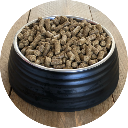 Inbalance Saumon 10kg