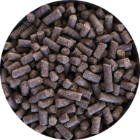 Inbalance Adult 10kg