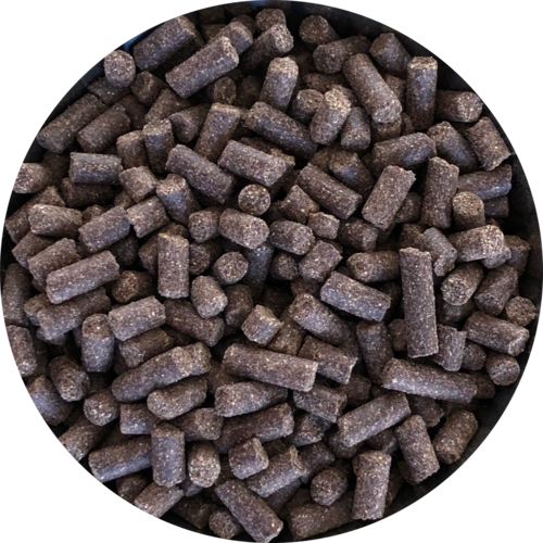 Inbalance Adult 10kg