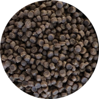 Inbalance junges Kätzchen 5kg