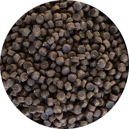 Inbalance junges Kätzchen 5kg