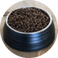 Inbalance junges Kätzchen 5kg