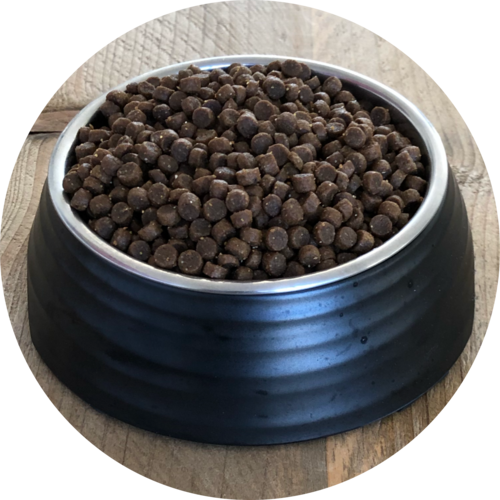 Inbalance junges Kätzchen 5kg