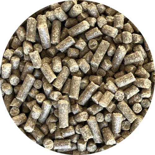 Inbalance insectes 10kg