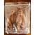 inbalance oreilles de buffle XL à la viande (4 pièces)
