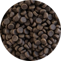 Inbalance Cat Indoor / Sterilised 4kg