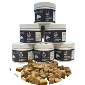 inbalance probiotica super+ facile à offrir comme bonbon. (60 pièces)