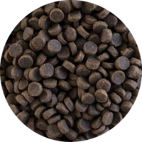 Inbalance Katzenurin 5kg