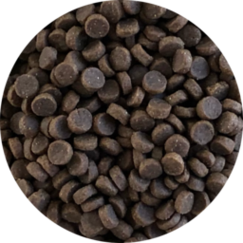 Inbalance Katzenurin 5kg