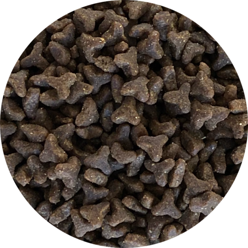 Inbalance Katze getreidefrei 4kg