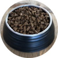 Inbalance Katze für Erwachsene, 4 kg