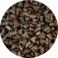 Inbalance Katze für Erwachsene, 4 kg