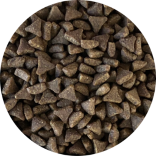 Inbalance Katze für Erwachsene, 4 kg