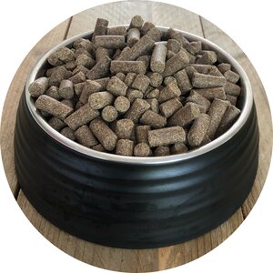 Inbalance Gans 10kg