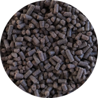 Inbalance Mini/Adult 10kg