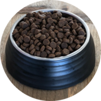 Inbalance Katze wählerisch 4kg