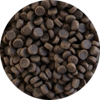 Inbalance Katze wählerisch 4kg