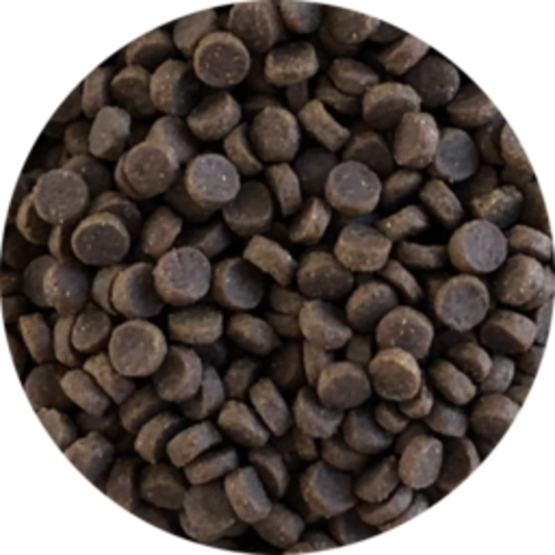 Inbalance Katze wählerisch 4kg