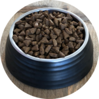 Inbalance Katze getreidefrei 4kg