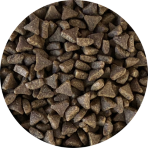 Inbalance Cat Choosy 4kg