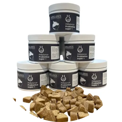 inbalance probiotica super+ facile à offrir comme bonbon. (60 pièces)