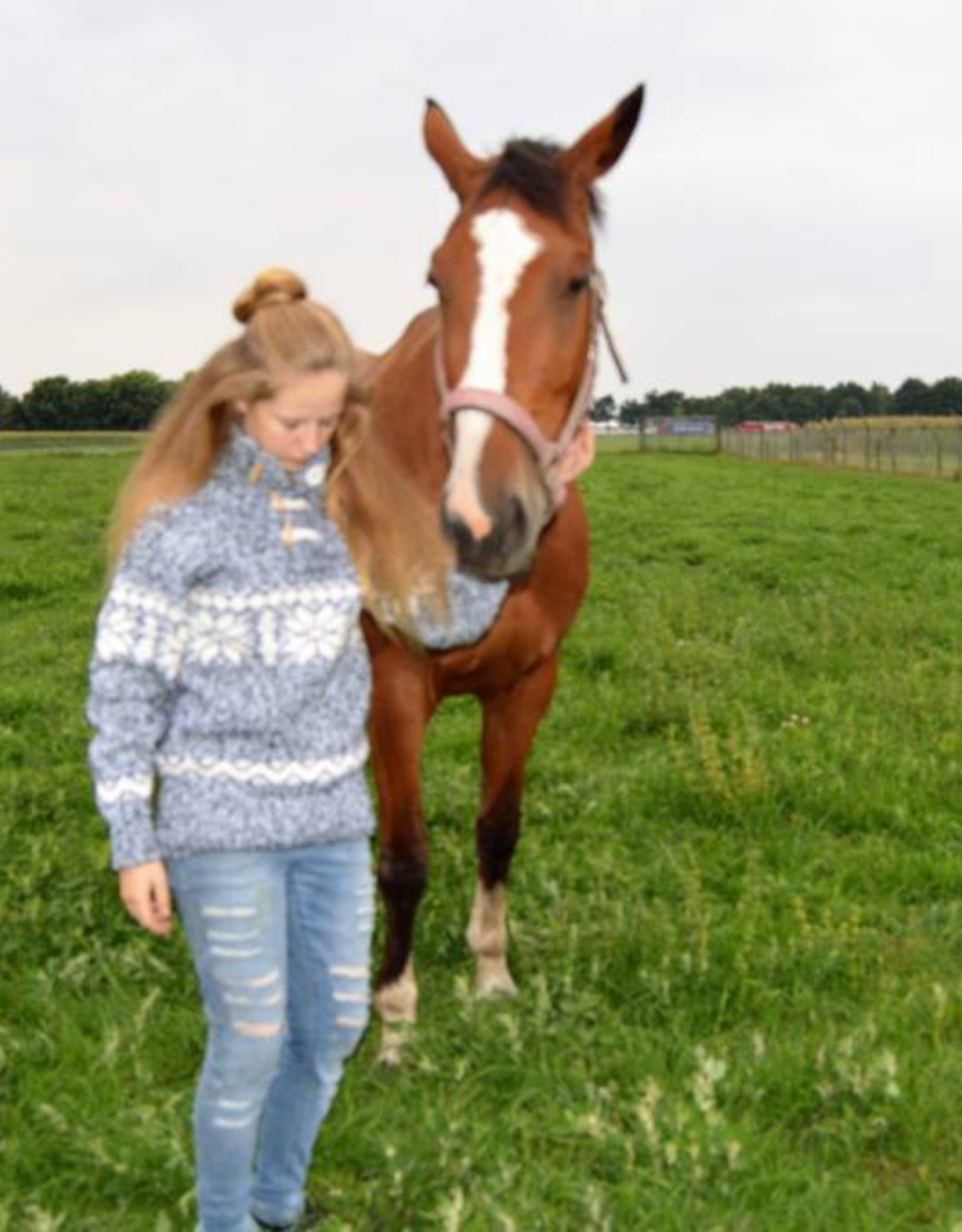 "Alvega " gebreide wollen trui met klassiek Noors Patroon in blauw gemeleerd en wit