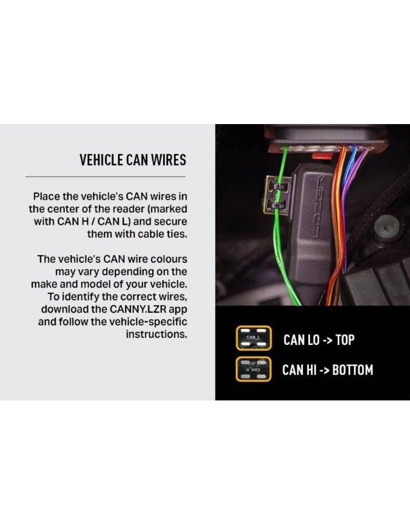 CANNY Interface (Contactless Connect) Dongle mit Molex-Anschluss, IP68 wasserdicht