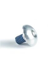 Replacement screw for the interchangeable ring on Delta Klassik B rims - silver