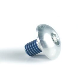 Replacement screw for the interchangeable ring on Delta Klassik B rims - silver