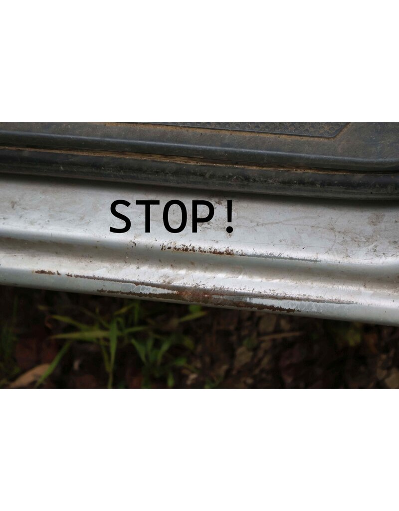 Protection de seuil d'entrée avec inserts en acier inoxydable pour Ford Transit Custom&Tourneo V710 (NRN/NXN) et VW new Transporter T7 (2025+), paire (gauche et droite), noir