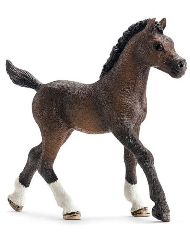 Schleich Schleich Horses 13762 - Arabisch veulen