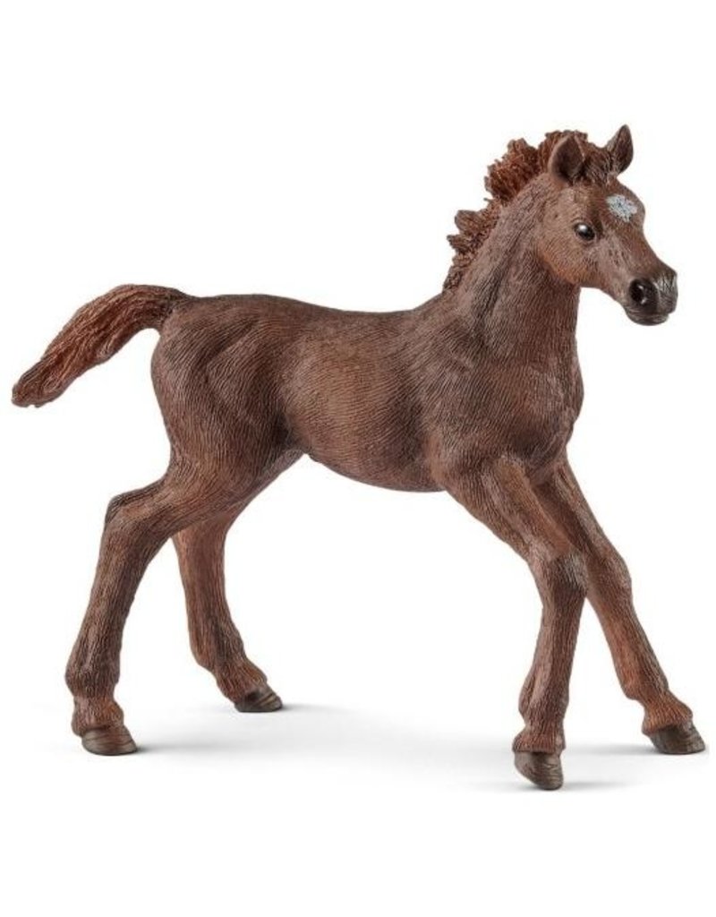 Schleich Schleich Horses 13857 - Engelse Volbloed veulen