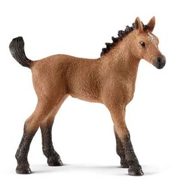 Schleich Schleich Horses 13854 - Quarter horse veulen