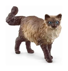 Schleich Schleich CAT 13940 - Ragdoll kat