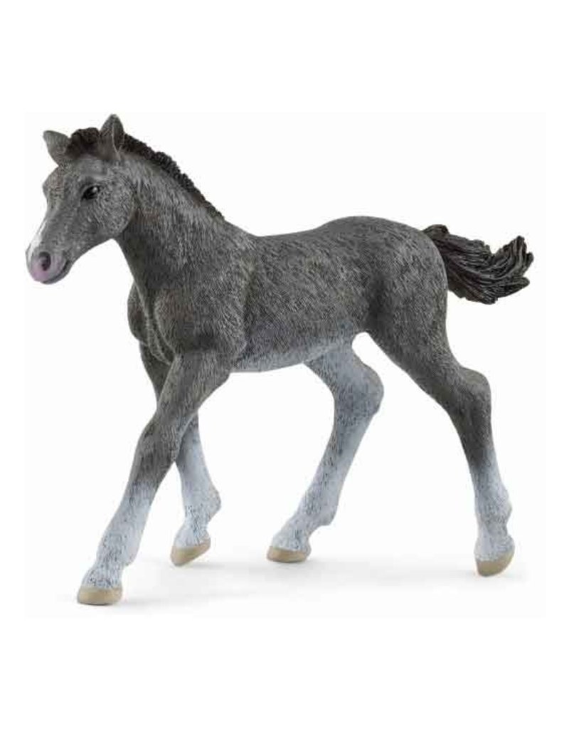 Schleich Schleich Horses 13944 - Trakehner veulen