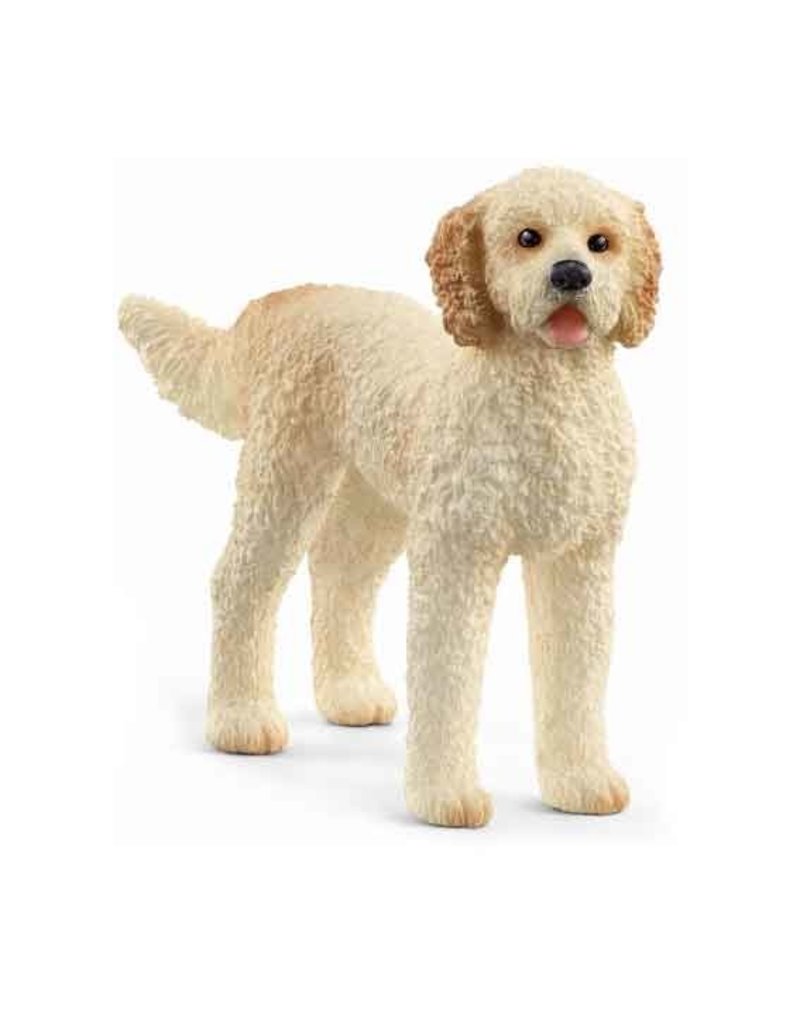 Schleich Schleich Dog 13939 - Goldendoodle