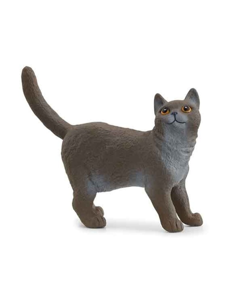 Schleich Schleich Cats 13973- Britse Korthaar Kat