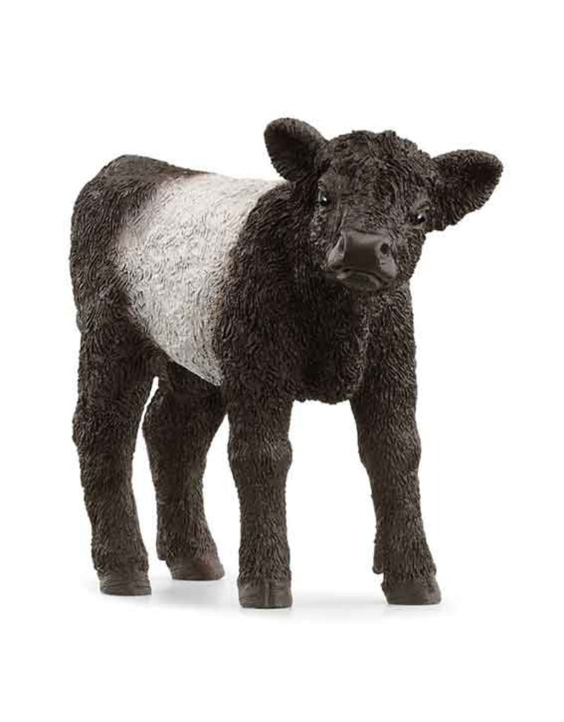 Schleich Schleich Farm 13969 - Galloway kalf