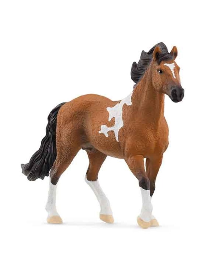 Schleich Schleich Horses 13978 - Mangalarga Marchador Hengst