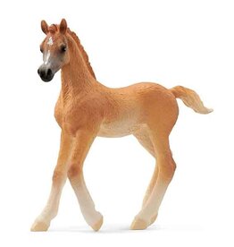 Schleich Schleich Horses 13984 - Arabisch veulen