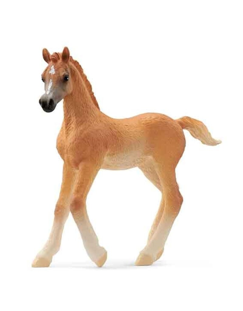 Schleich Schleich Horses 13984 - Arabisch veulen