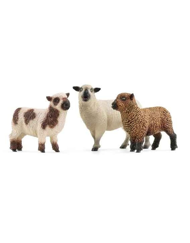 Schleich Schleich Farm 42660 - Schapen vrienden
