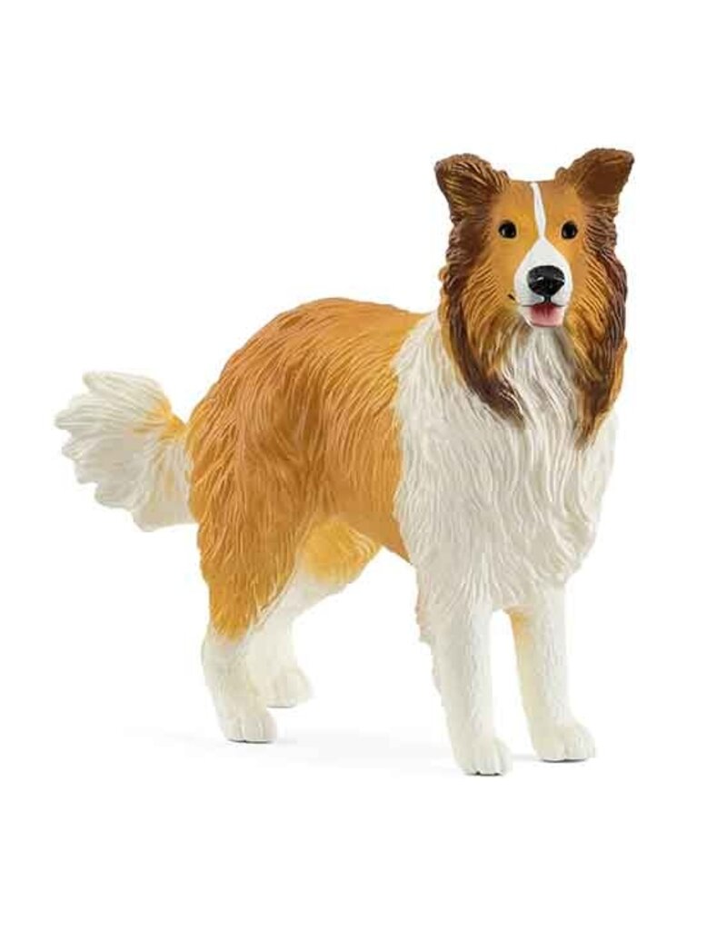 Schleich Schleich Dog 13998 - Collie
