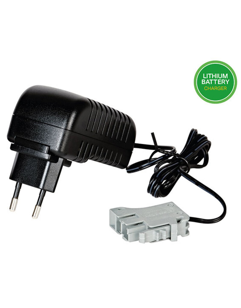 Peg Perego Peg Perego CB0315 - Lithium Accu Lader 24V - Multiplug