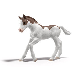 Schleich Schleich Horses 81459 - veulen Dipper