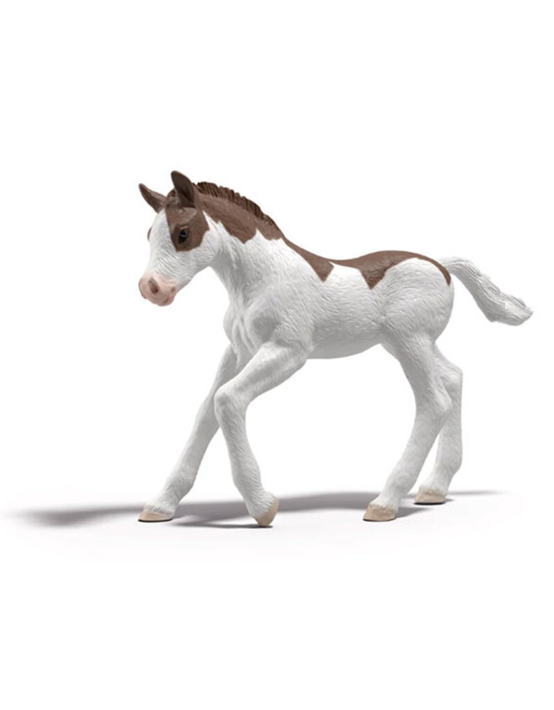 Schleich Schleich Horses 81459 - veulen Dipper