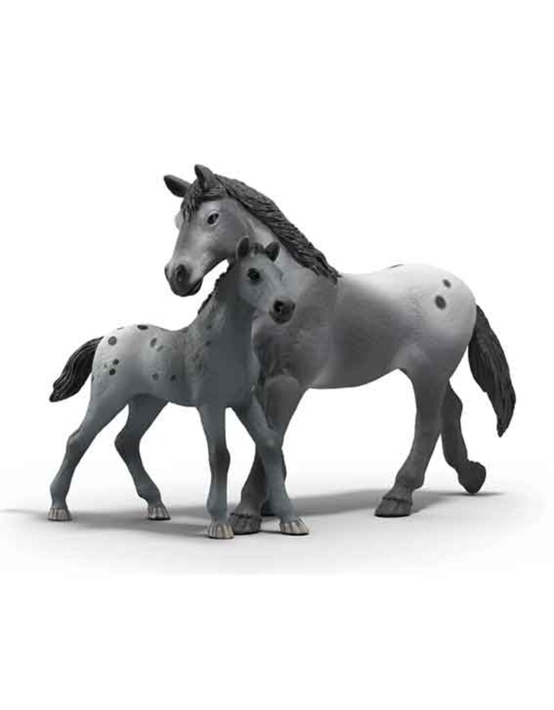 Schleich Schleich Horses 42776 - Lisa's toernooi trainingsset