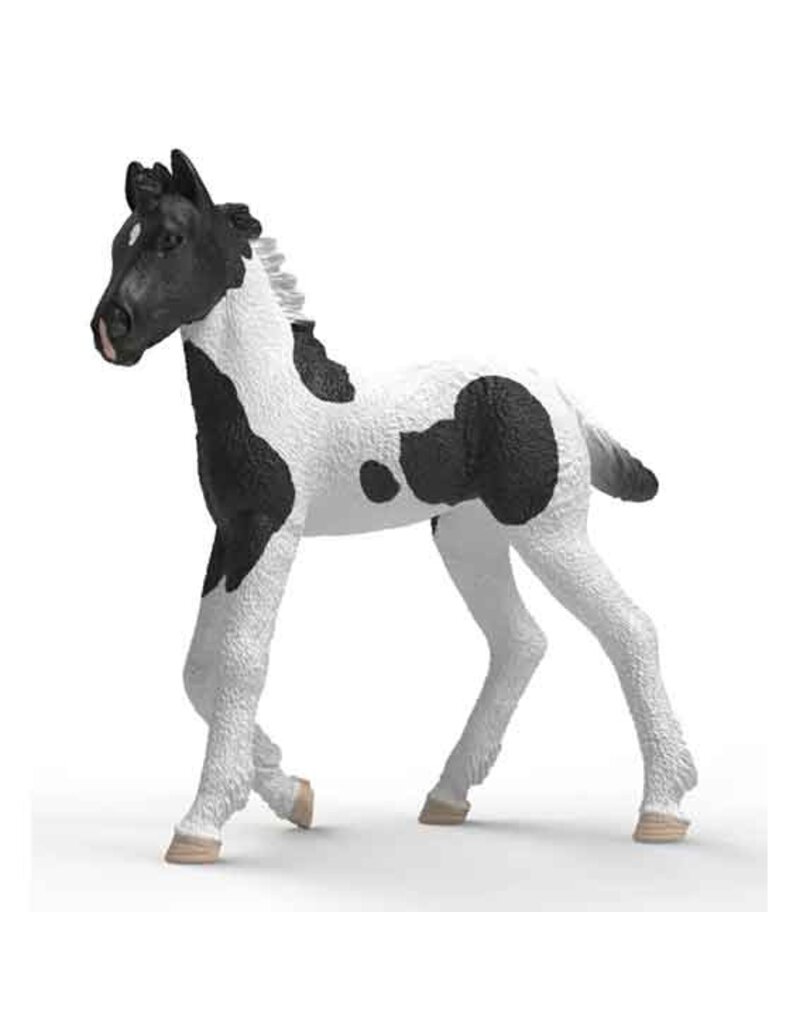 Schleich Schleich Horses 81481 - veulen Rocky