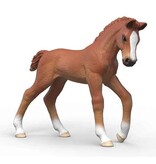 Schleich Schleich Horses 81480 - veulen Ruby