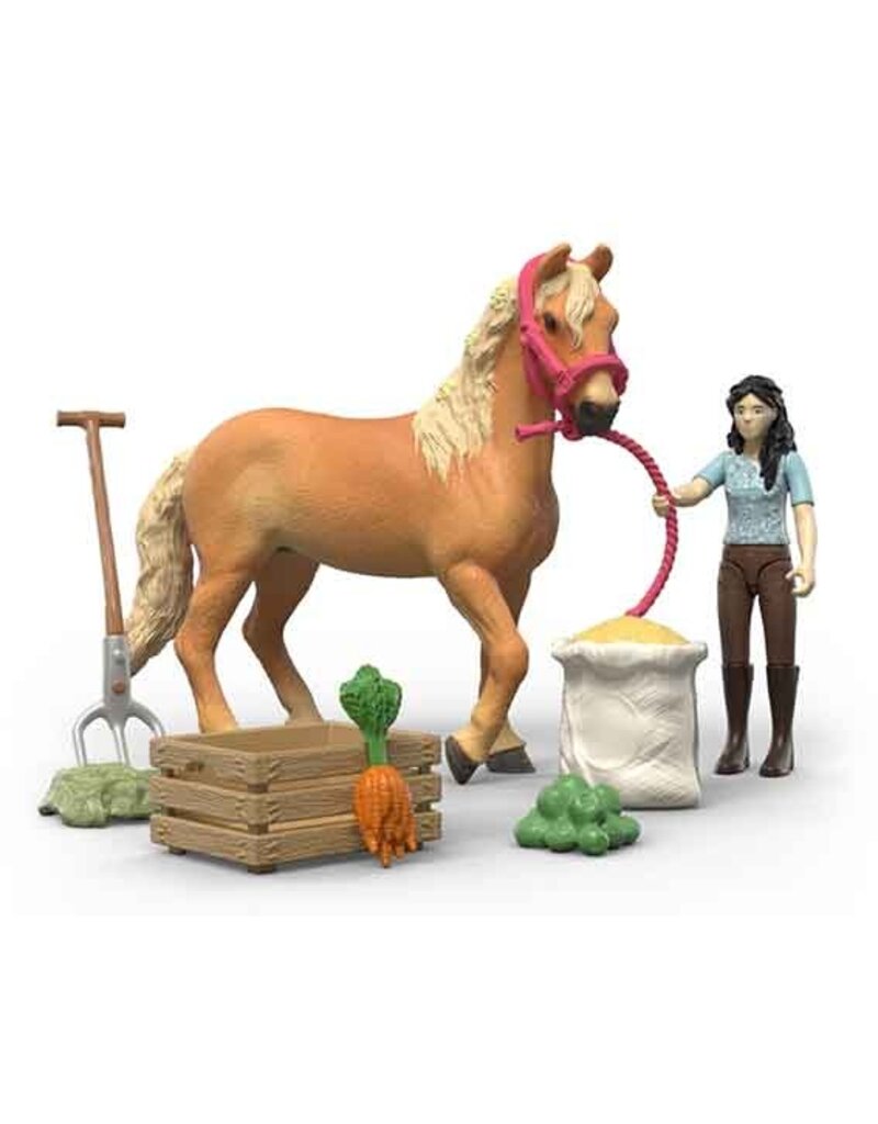 Schleich Schleich Horses 42797 - Horse Club Emily's verzorgingsset